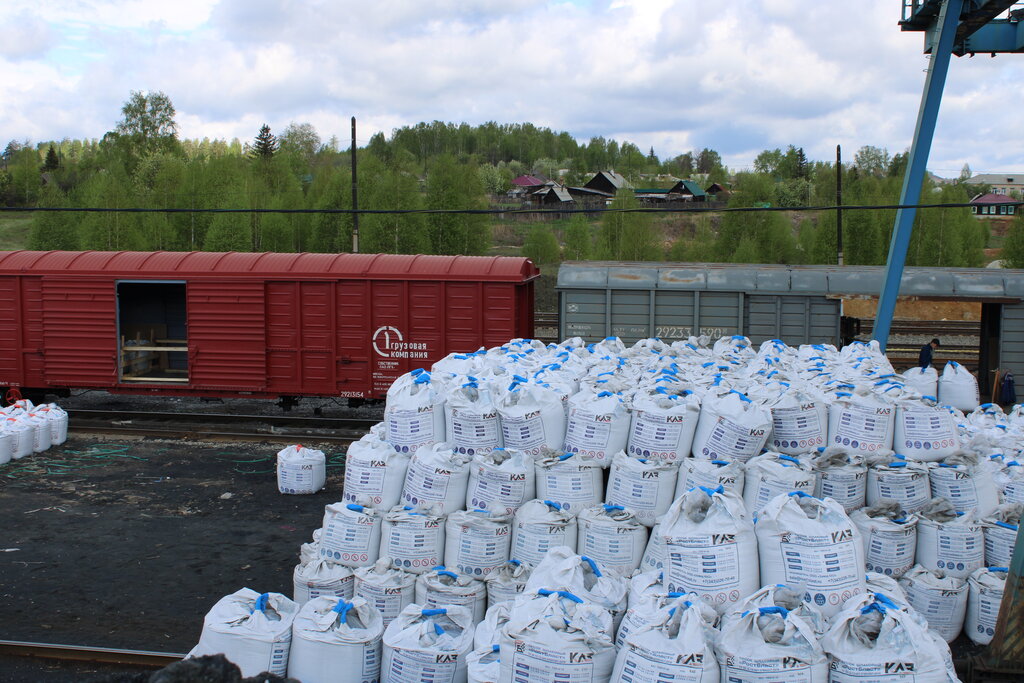 XXL (1).jpeg XXL (1).jpeg